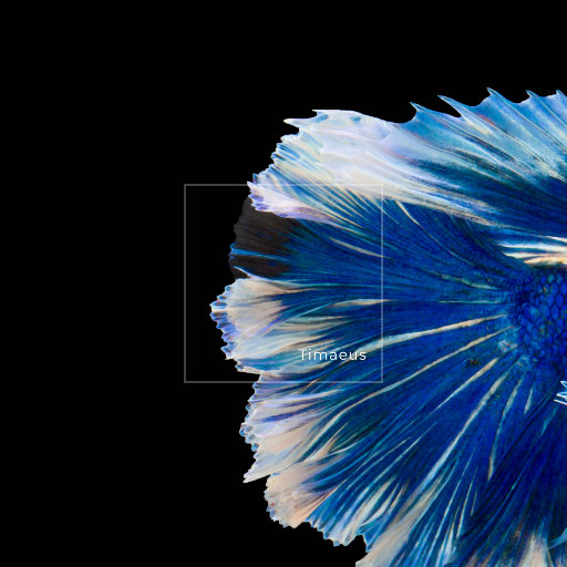 四川BBMBBB凸凸凸大视频
